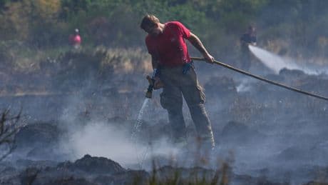 Warning Labour’s rewilding plans could trigger surge in UK wildfires