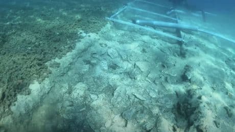 Exploran las profundidades del Adriático y encuentran una 'carretera' con 7.000 años de antigüedad