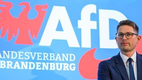 AfD Brandenburg klagt gegen Einstufung als „rechtsextrem“