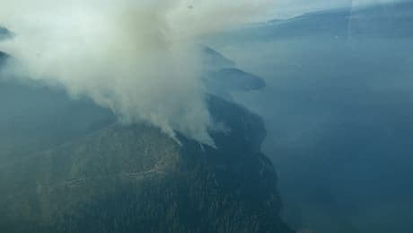 ‘Stay out of the area’: Crews battle 65-hectare wildfire next to Harrison Lake