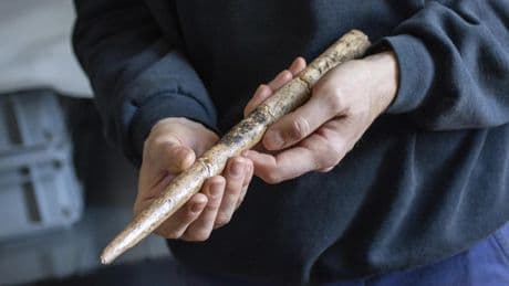 Descubren que los humanos ya fabricaban herramientas con huesos de ballena hace 20.000 años