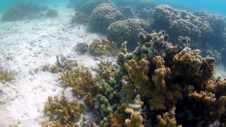 Honolulu's lawsuit against fossil fuel companies leads climate change legal fight