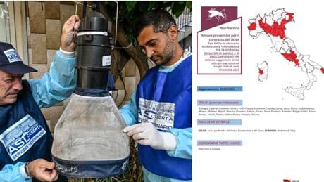 West Nile, altri tre morti in Italia: uno a Latina e due nel Casertano. Il totale delle vittime sale a 13