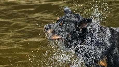 Wettervorhersage: Hitze nimmt in neuer Woche weiter zu - bis zu 38 Grad
