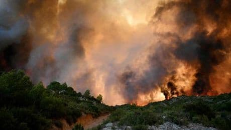 Incendies : « Il faut faire de la prévention une priorité politique et collective, à la hauteur des nouveaux défis posés par le dérèglement climatique »