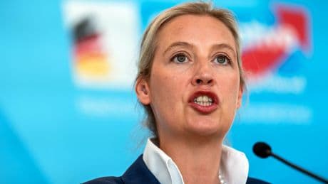 Die AfD im Parlament | AfD will im Bundestag »gemäßigt« auftreten