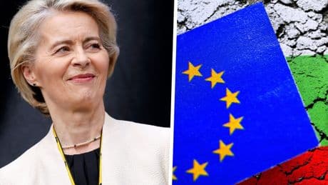 Euro-Beitritt Bulgariens Ein Schritt in die fiskalpolitische Beliebigkeit der EU