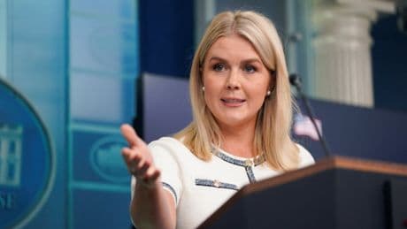 White House claims Epstein case is ‘hoax’ ... because Democrats are talking about it