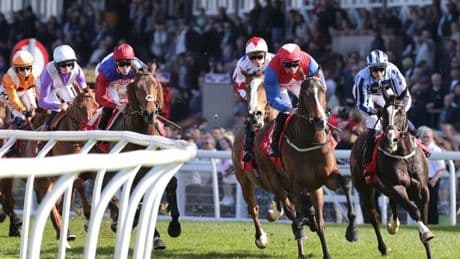 Newsboy’s horseracing tips for Tuesday’s three meetings, including Musselburgh Nap