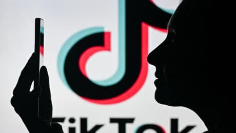 « TikTok est allé le plus loin dans la capture de notre cerveau »