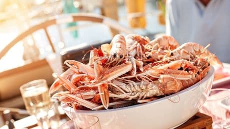 Einmal im Leben: Scampi auf dem Kutter pulen
