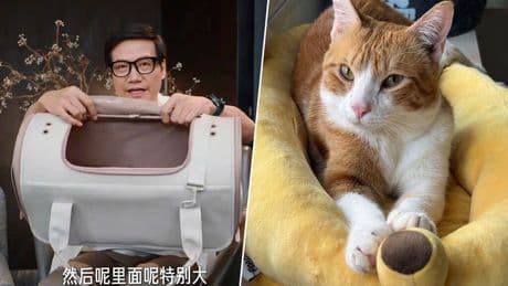El CEO de Xiaomi salió en un vídeo enseñando un nuevo producto y se agotó en minutos. Era un transportín para gatos