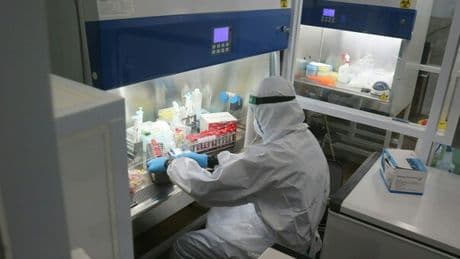 Tumori, studio italiano svela la rapidità dei mutamenti di Dna nelle metastasi: il nuovo parametro per valutarne l'aggressività
