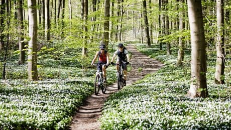 Droht das Radl-Aus im Wald? Neue Regeln könnten vieles verbieten