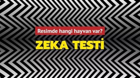 Bakarken hipnotize eden test! Gizli hayvanı bulan Einstein’a rakip çıkar