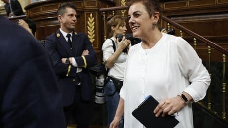 Bildu ve «insuficientes» las medidas pero «no intentará hundir» al Gobierno