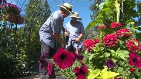 Okanagan farm connects dementia care with agriculture through day program