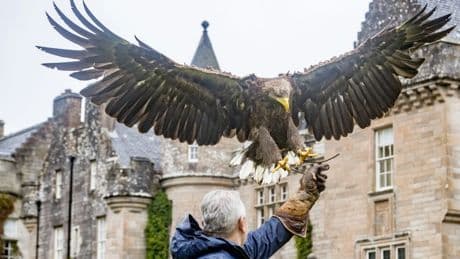 Golfparadies Schottland: Adler verpflichtet