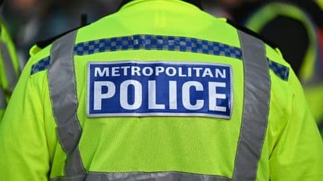Angleterre: deux adolescents arrêtés pour avoir torturé et tué deux chatons près de Londres