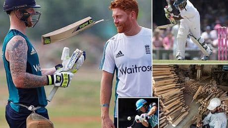 Revealed: Cricket is running out of BATS - here's why the IPL, climate change and expensive trees are all to blame... as we take you inside the race against time to save the sport from an existential crisis