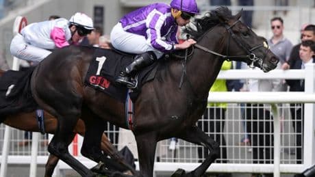 Aidan O’Brien’s massive Royal Ascot favourite and ‘truly exceptional’ unbeaten horse OUT with injury in latest blow