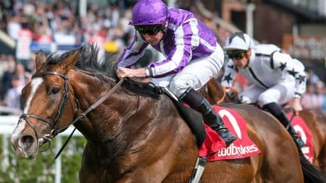 Templegate tips ‘hugely impressive’ Aidan O’Brien star to stun the favourite in monster 116-1 Epsom double