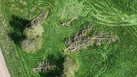 Researchers confirm 1st tornado of 2025 in Ontario has touched down