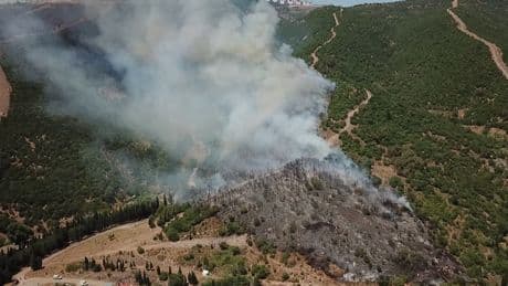 Kocaeli'de makilik alanda yangın çıktı