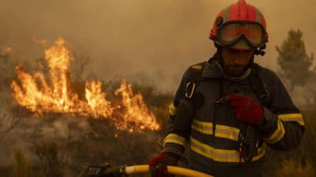 Incendios activos en España hoy, en directo | Los focos activos, evacuaciones, víctimas, trenes sin servicio y última hora en Orense, Zamora y León