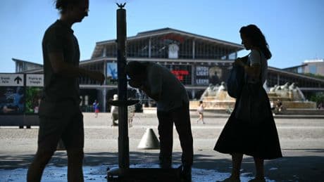 Fires break out in France and Turkey amid heatwave