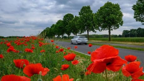 Wetter: Wechselhaftes Pfingstwochenende in Berlin und Brandenburg