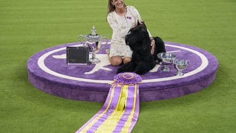 Westminster Kennel Club sets plans for its 150th dog show next year