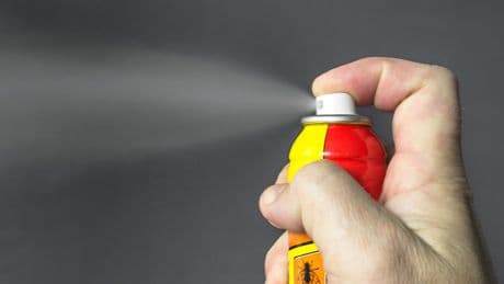 Développement de l’enfant, infertilité, cancers… ces insecticides qui inquiètent l’Anses