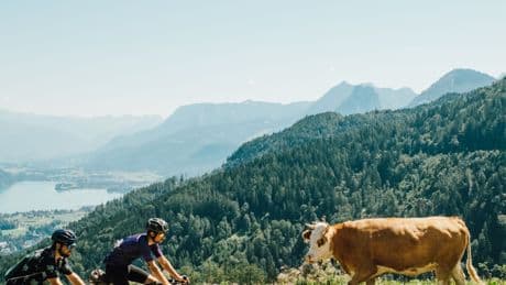 Sport und Genuss: Sechs Radtouren für ein verlängertes Wochenende