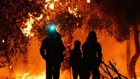 Griechenland: Feuerwehr bekämpft Dutzende Wald- und Buschbrände