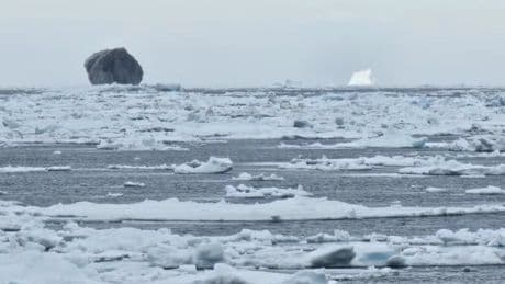 El extraño iceberg negro hallado por un pescador cerca de Canadá que se ha hecho viral