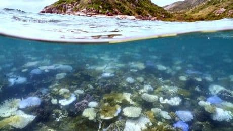 Uno-Klimabeauftragter ermahnt Australien