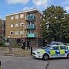 Teenager is arrested on suspicion of murder after woman, 25, 'was killed when she fell from block of flats'