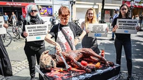 Hund auf dem Grill: Protestaktion in Berlin sorgt für Aufsehen