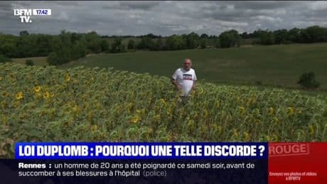 Loi Duplomb: tout comprendre aux raisons de la discorde