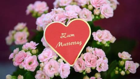 Geschenke: Handel hofft auf Muttertag: "An Mama wird nicht gespart"
