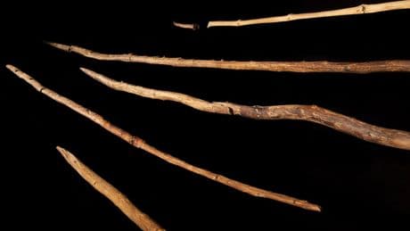 Wooden spears found in a German coal mine could change the history of human hunting