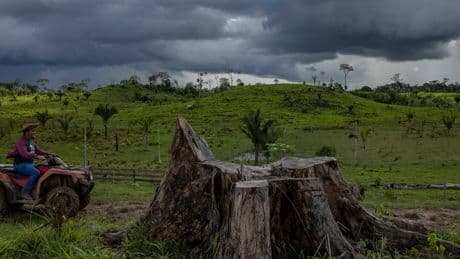 Poor Amazon Rains Linked to Brazil Deforestation