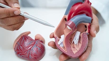 Aort yırtılmasında erken tanı hayat kurtarıyor