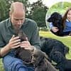Peta brands William and Kate 'staggeringly out of touch' for allowing their dog to have puppies