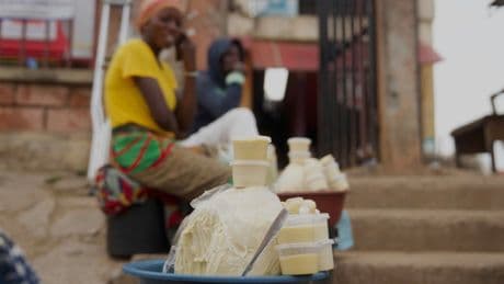Nigeria bans exports of raw shea nuts used for cosmetic products to help grow local economy