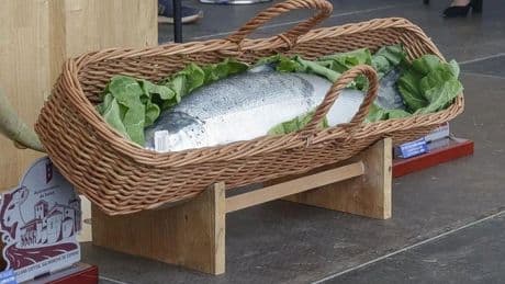 A 1.500 euros el kilo de salmón en Asturias