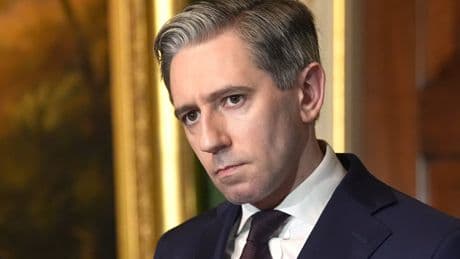 Two Irish diplomats among delegation IDF fired near in West Bank