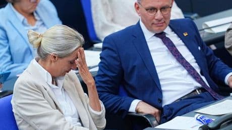 Kein Ausschussvorsitz für AfD? CDU-Politiker kritisiert „moralische Überheblichkeit“ seiner Partei
