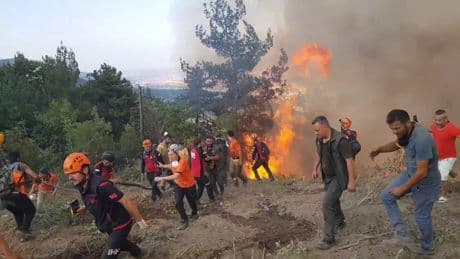 Karabük'te bir köy boşaltıldı: Ekipler alevler arasında kalmaktan son anda kurtuldu